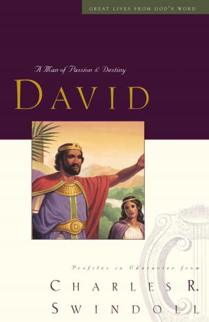 Cover of the book David by R. Emmett Tyrrell