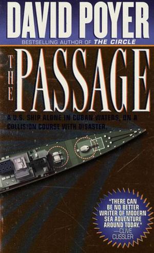 Cover of the book The Passage by Kelli Stanley