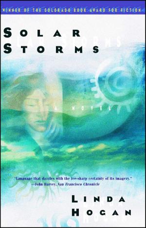 Cover of the book Solar Storms by Robert Rosenberg