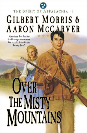 Cover of the book Over the Misty Mountains (Spirit of Appalachia Book #1) by Stephen Miller