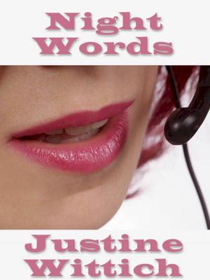 Cover of the book Night Words by Kay Sutra