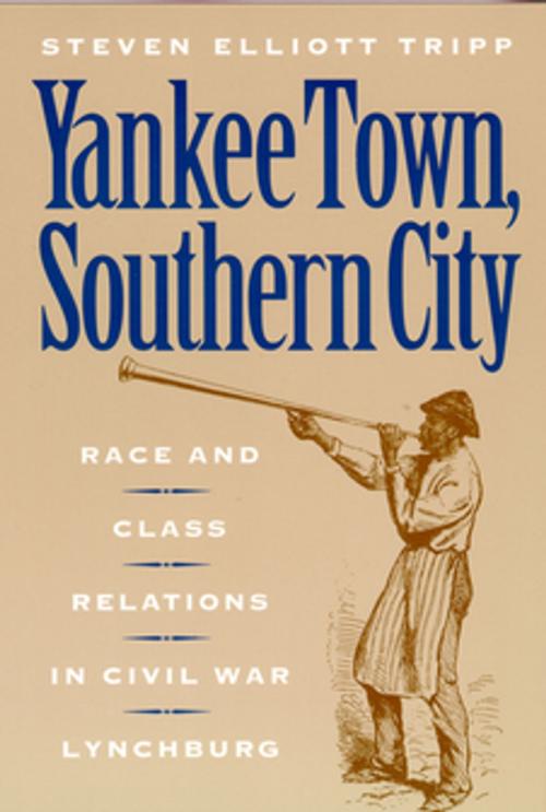 Cover of the book Yankee Town, Southern City by Steven Elliot Tripp, NYU Press