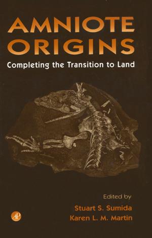 Cover of the book Amniote Origins by Pedro J. Perez