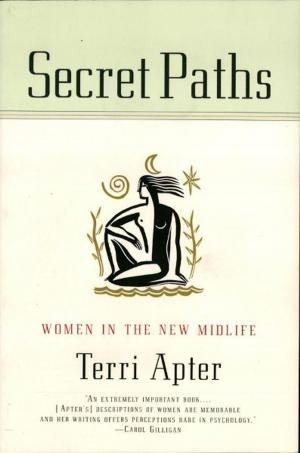 Cover of the book Secret Paths: Women in the New Midlife by Marion Solomon, Ph.D., Daniel J. Siegel, M.D.