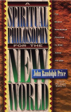 Cover of the book A Spiritual Philosophy for the New World by Ken Druck, Ph.D.