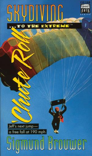 Cover of the book Shortcuts #3: Skydiving to the Extreme by Donald J. Wilton