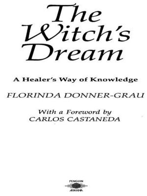 Cover of the book The Witch's Dream by David S. Goyer, Michael Cassutt