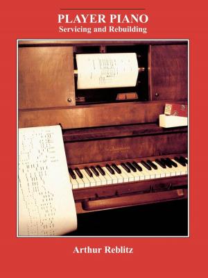 Cover of the book Player Piano by Viktor Dick