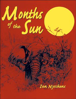 Cover of the book Months of the Sun by Brian Marsh