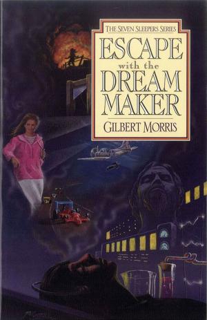Cover of the book Escape with the Dream Maker by Herbert Wolf