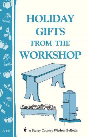 Cover of the book Holiday Gifts from the Workshop by Victoria Rowell, Paul Tukey