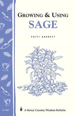 Cover of the book Growing & Using Sage by Phyllis Hobson