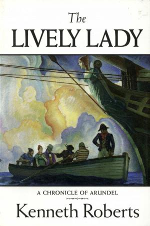 Cover of the book The Lively Lady by Dan Tobyne