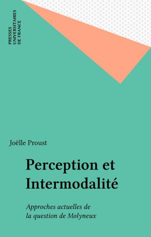 Book cover of Perception et Intermodalité
