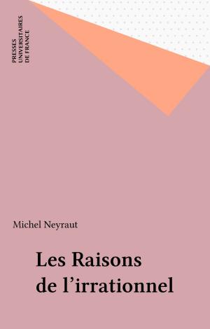 Cover of the book Les Raisons de l'irrationnel by Annie Anargyros-Klinger, Ilana Reiss-Schimmel, Steven Wainrib