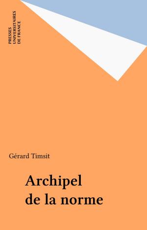 Cover of the book Archipel de la norme by Pierre Oléron, Paul Angoulvent