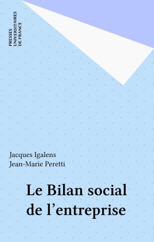 Cover of the book Le Bilan social de l'entreprise by Mano Gentil