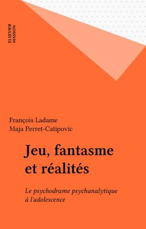 Cover of the book Jeu, fantasme et réalités by Jean Roux