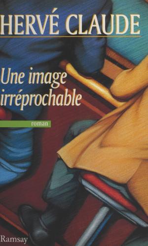 Cover of the book Une image irréprochable by Dominique Grandmont