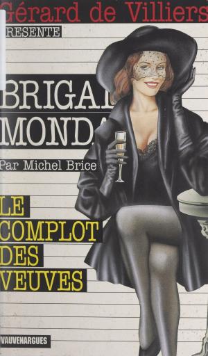 bigCover of the book Le complot des veuves by 
