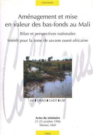 Cover of the book Aménagement et mise en valeur des bas-fonds au Mali by Nicole Mathieu, Yves Guermond