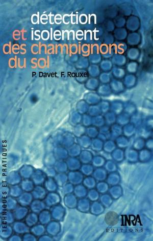 Cover of the book Détection et isolement des champignons du sol by Paul Nicolas, Denis Tourvieille de Labrouhe, Felicity Vear, Etienne Pilorgé