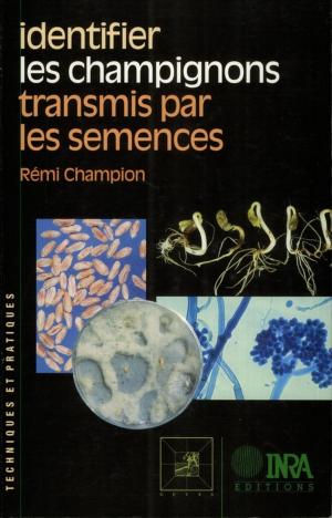 Cover of the book Identifier les champignons transmis par les semences by Denis Baize