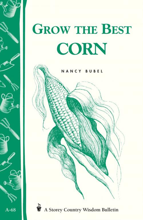 Cover of the book Grow the Best Corn by Nancy Bubel, Storey Publishing, LLC