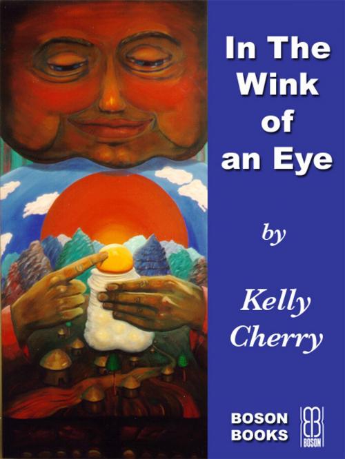 Cover of the book In The Wink of an Eye by Kelly  Cherry, Bitingduck Press