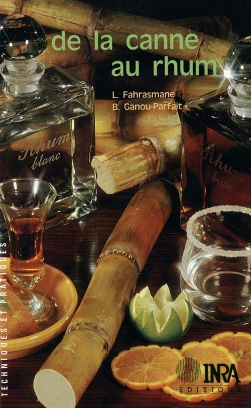 Cover of the book De la canne au rhum by Louis Fahrasmane, Berthe Ganou-Parfait, Quae