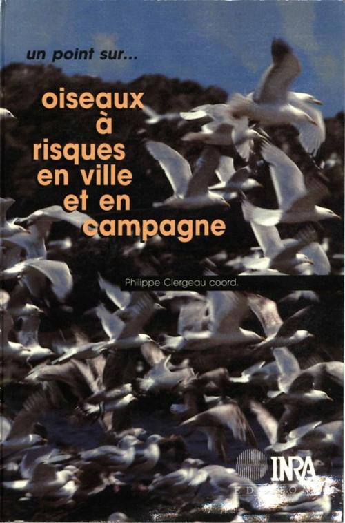 Cover of the book Oiseaux à risques en ville et en campagne by Philippe Clergeau, Quae