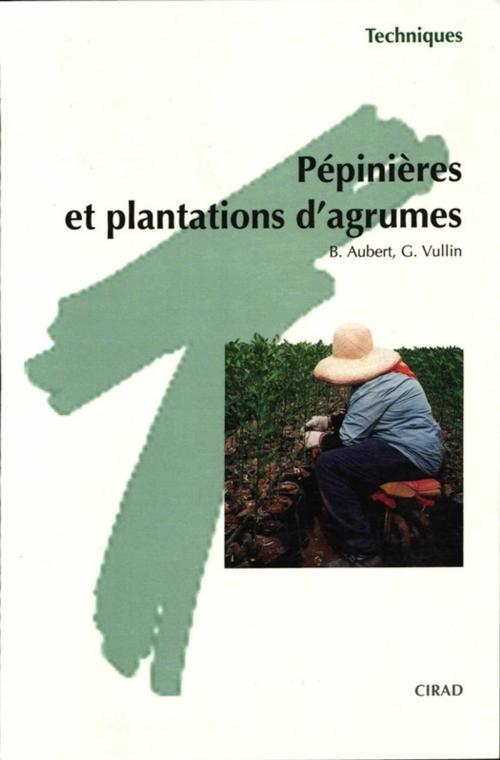 Cover of the book Pépinières et plantations d'agrumes by Bernard Aubert, G. Vullin, Quae