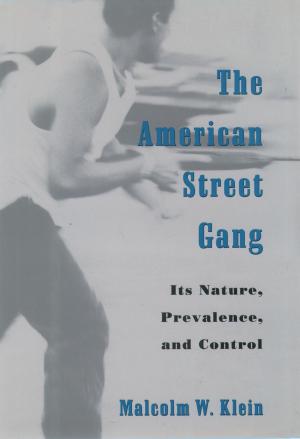 Cover of the book The American Street Gang by Steve Vanderheiden