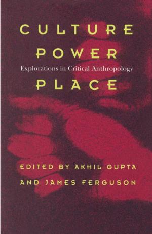 bigCover of the book Culture, Power, Place by 