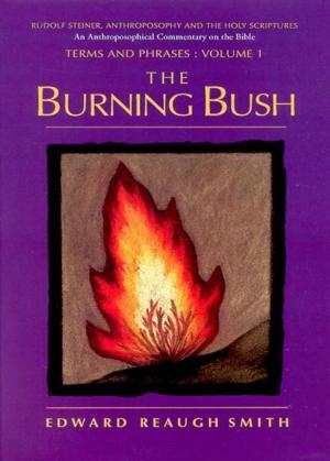 Cover of the book The Burning Bush by Sharifa Oppenheimer, Joan Almon