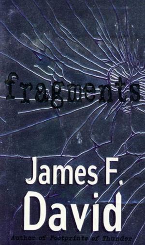 Cover of the book Fragments by Marie Brennan