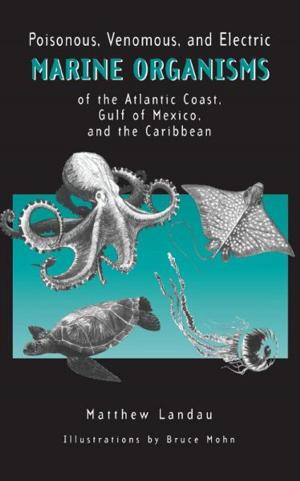 bigCover of the book Poisonous, Venomous, and Electric Marine Organisms of the Atlantic Coast, Gulf of Mexico, and the Caribbean by 