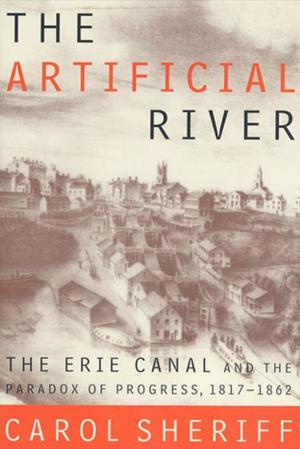 Cover of the book The Artificial River by Saidiya Hartman