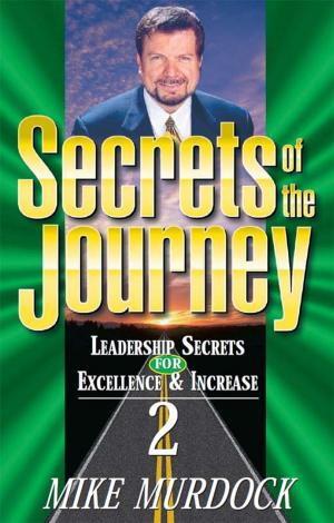 Book cover of Secrets of The Journey, Volume 2