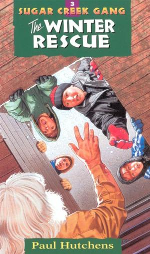 Book cover of The Winter Rescue
