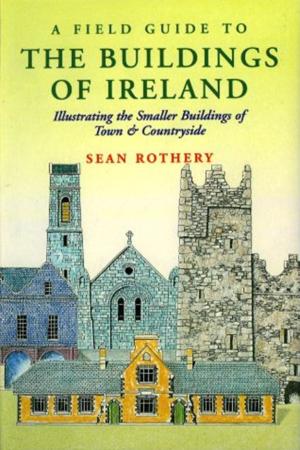 Cover of the book A Field Guide to the Buildings of Ireland by Robin Flower