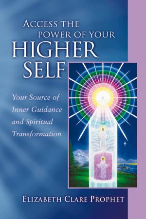Cover of the book Access the Power of Your Higher Self by Luis Ruvalcaba