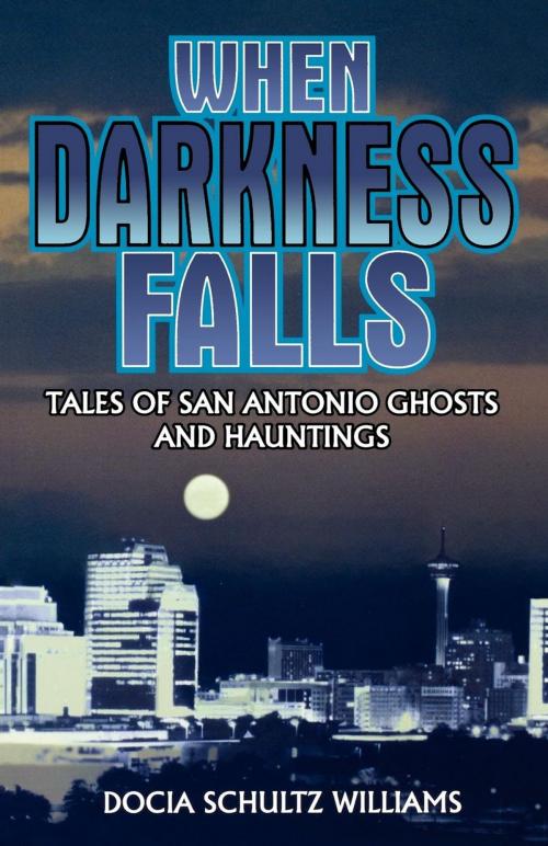 Cover of the book When Darkness Falls by Docia Shultz Williams, Taylor Trade Publishing