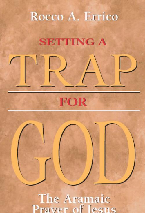 Cover of the book Setting a Trap for God by Rocco A. Errico, Unity Books