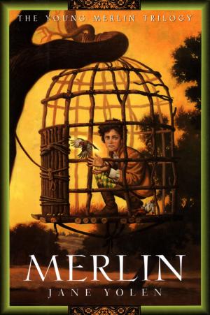 Cover of the book Merlin by Karin Fossum