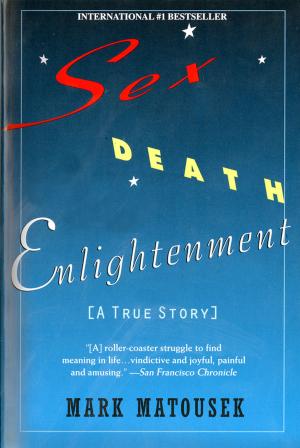Cover of the book Sex Death Enlightenment by David Lida