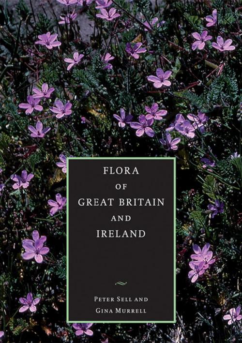 Cover of the book Flora of Great Britain and Ireland: Volume 5, Butomaceae - Orchidaceae by Peter Sell, Gina Murrell, Cambridge University Press