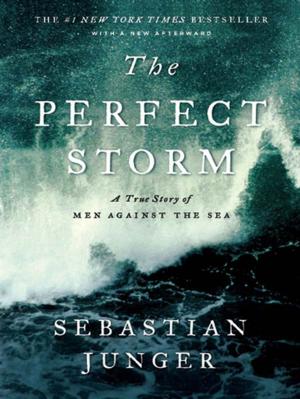 Cover of the book The Perfect Storm: A True Story of Men Against the Sea by Patrick O'Brian