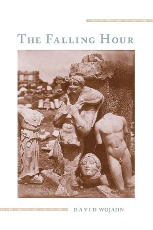 Cover of the book The Falling Hour by Ethel Spencer