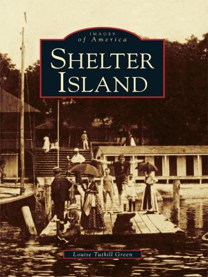 Cover of the book Shelter Island by James A. Truett
